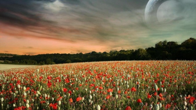 中国的高铁数量过剩吗？